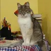 Отзыв от Зоя Константинова